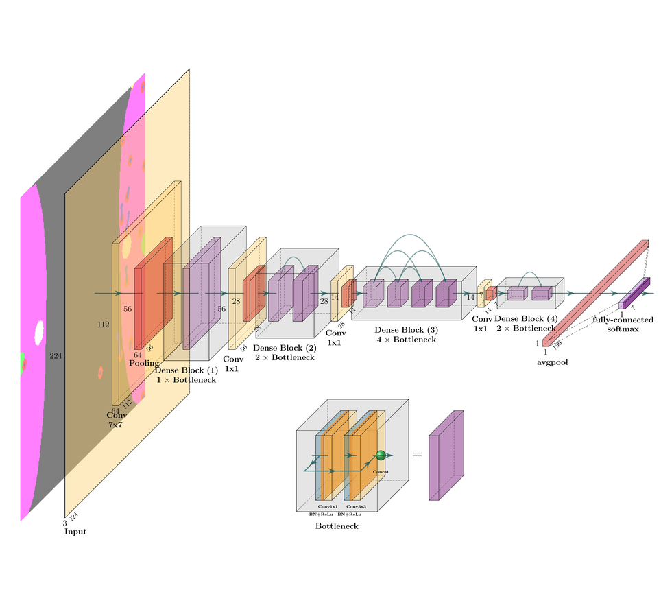 Densenet-23 architecture.